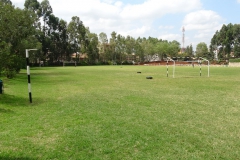 DSC00107e